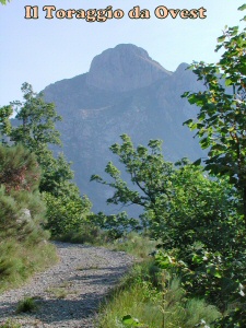Toraggio da Ovest